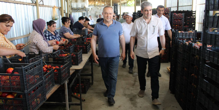 Balakən Rayon İcra Hakimiyyətinin başçısı Natiq Ağayev təsərrüfatlara baxış keçirib