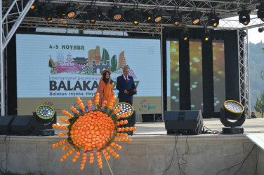 Beynəlxalq Xurma Festivalı