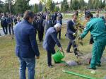Beynəlxalq Xurma Festivalı
