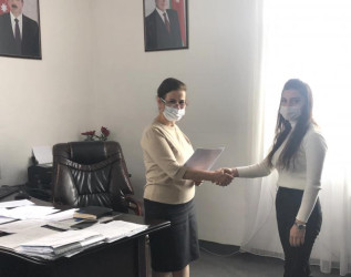 Könüllülük fəaliyyəti