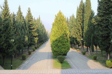 Turizm obyektləri
