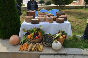 Məhsul bolluğu bayramı 2012-2013-2014-cü illər