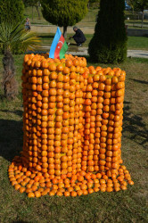 Beynəlxalq Xurma Festivalı