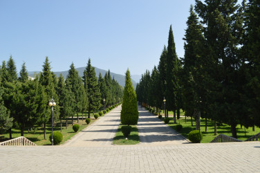 Balakən parkı