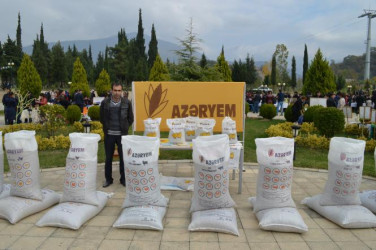 Məhsul bolluğu bayramı 2012-2013-2014-cü illər