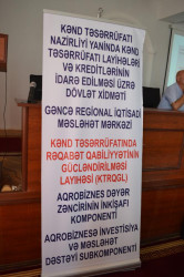 Kənd təsərrüfatı