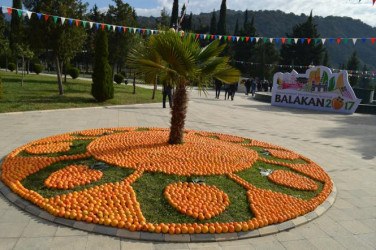 Beynəlxalq Xurma Festivalı