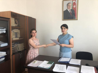 Könüllülük fəaliyyəti