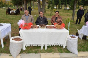 Məhsul bolluğu bayramı 2012-2013-2014-cü illər