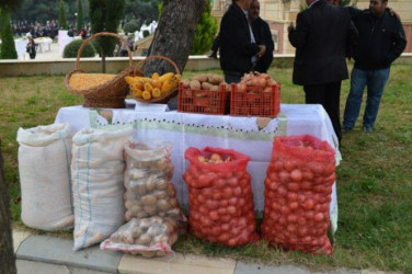 Məhsul bolluğu bayramı 2012-2013-2014-cü illər