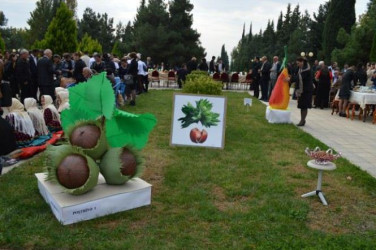 Məhsul bolluğu bayramı 2012-2013-2014-cü illər